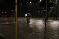 Milan the fiume seveso overflow