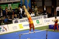Milan Gymnastic Grand Prix 2008