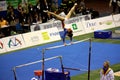 Milan Gymnastic Grand Prix 2008