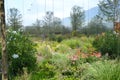 Polish Pavilion Milan Expo 2015. Picturesque arrangement of the inner garden.