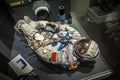 MILAN, ITALY - JUNE 9, 2016: astronaut spacesuit at the Science