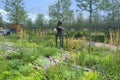 Polish Pavilion Milan Expo 2015. Picturesque arrangement of the inner garden.