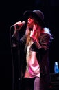 Patti Smith during the concert Royalty Free Stock Photo