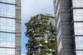 MILAN, ITALY - MARCH 9, 2018: Skyscraper Vertical forest with trees growing on balconies, built for Expo 2015.