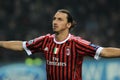 Zlatan Ibrahimovic celebrates after the goal