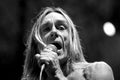 Iggy Pop & The Stooges during the concert Royalty Free Stock Photo