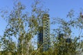 Torre Solaria from Biblioteca degli Alberi in Milan, Italy Royalty Free Stock Photo