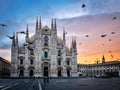 First lights on the Duomo