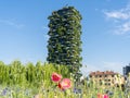 Milano, Italy. Bosco Verticale, view at the modern and ecological skyscraper with many trees on each balcony. Public park Royalty Free Stock Photo