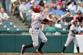 2014 MiLB - baseball batter