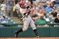 2014 MiLB - baseball batter