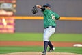 2014 MiLB - baseball pitcher Royalty Free Stock Photo