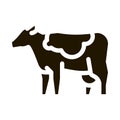 milch cow icon Vector Glyph Illustration