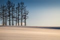 Mild seven hill in winter, Biei, Hokkaido, Japan Royalty Free Stock Photo