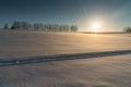 Mild seven hill in winter, Biei, Hokkaido, Japan Royalty Free Stock Photo