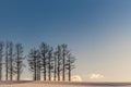 Mild seven hill in winter, Biei, Hokkaido, Japan Royalty Free Stock Photo