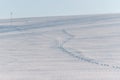 Mild seven hill in winter, Biei, Hokkaido, Japan Royalty Free Stock Photo