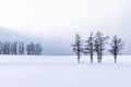 Mild Seven Hills in Winter, Biei Patchwork Road, Hokkaido, Japan