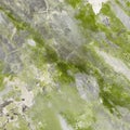 Mildewed concrete wall with green stains Royalty Free Stock Photo