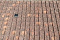 Mildewed terracotta roof tile