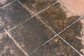 Mildewed tiled floor Royalty Free Stock Photo
