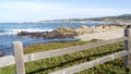 17-mile drive, Monterey, California. Rocky craggy ocean coast, waves. Succulents