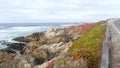 17-mile drive, Monterey, California. Rocky craggy ocean coast, waves. Succulents