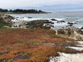 17 Mile Drive Monterey Coast