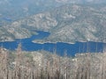 Full lake, dead trees