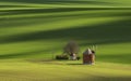 The mile in the middle of the green fields of Moravia, Cech Republic. Royalty Free Stock Photo