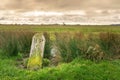 Mile Stone on the Moor