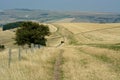 South Downs Way. Long distance walking Path. Sussex, UK Royalty Free Stock Photo