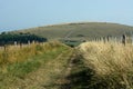 South Downs Way. Long distance walking Path.