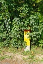 Milestone in a bush Royalty Free Stock Photo