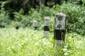 Milestone on road in jungle.