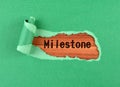 Milestone word Royalty Free Stock Photo