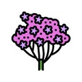 milfoil plant color icon vector illustration