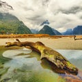 Milford sound