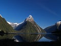 Milford Sound Royalty Free Stock Photo