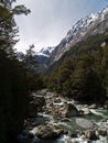 Milford Sound Royalty Free Stock Photo