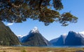 Milford Sound Beautiful Landscape