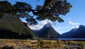 Milford Sound New Zealand Royalty Free Stock Photo