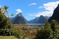 Milford Sound New Zealand, South Island Royalty Free Stock Photo