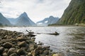 Milford Sound New Zealand South Island Royalty Free Stock Photo