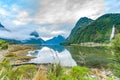 Milford Sound Piopiotahi is a famous attraction in the Fiordland National Park, New Zealand`s South island Royalty Free Stock Photo