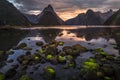 Milford Sound, New Zealand Royalty Free Stock Photo