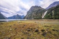 Milford Sound Piopiotahi is a famous attraction in the Fiordland National Park, south island of New Zealand Royalty Free Stock Photo