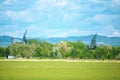 Military antennas camouflaged between trees on an air base, on a sunny summer day Royalty Free Stock Photo