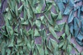 Military background. The surface of a camouflage army tent, green mesh. Abstract texture.