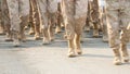 Military boots close up. Soldiers platoon marching. Officers walk. Legs closeup.